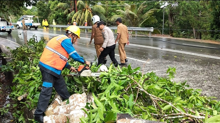 Pohon Tumbang Timpa Kabel Listrik di Senggarang, Petugas Gabungan Lakukan Evakuasi Cepat