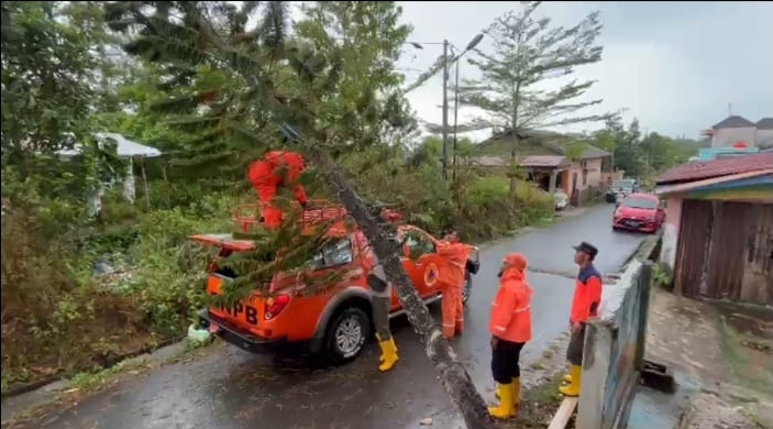 Hujan Disertai Angin Kencang, Pohon Tumbang Timpa Kabel Listrik di Kijang Kencana Tanjungpinang
