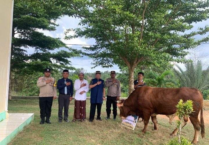 Kapolda Kepri Salurkan Sapi Kurban 700 Kg untuk Ponpes Mambaus Sholihin 7 Bintan