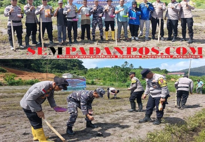 Polsek Jemaja Tanam Jagung Serentak di Anambas, Siap Dampingi Petani dari Penanaman hingga Pemasaran Hasil Panen
