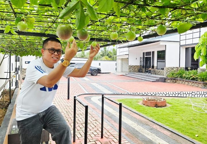 Teras Rumah Terasa Gerah? Coba Kanopi Hidup dari Markisa, Sejuk, Estetik, dan Berbuah