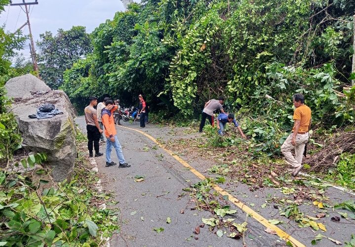 Respon Cepat Polsek Siantan, BPBD dan Warga Evakuasi Mobil Ekspedisi Tertimpa Pohon Tumbang di Anambas