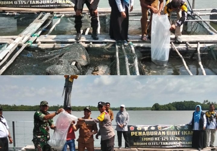 Satgas TMMD Ke-129 Dorong Ketahanan Pangan melalui Penaburan Bibit Ikan Kakap Putih sebanyak 3000 ekor di Desa Busung