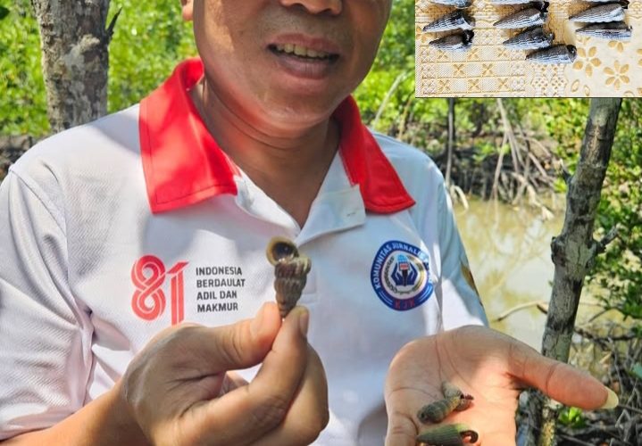 Kabar dari Singapura: Ada Dolar di Batang Mangrove!