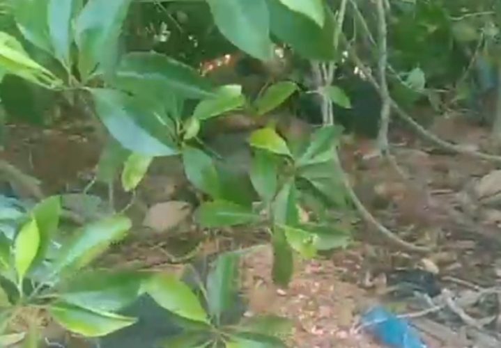 Warga Cari Gong-Gong, Malah Temukan Tengkorak Manusia di H Unggar Tanjungpinang