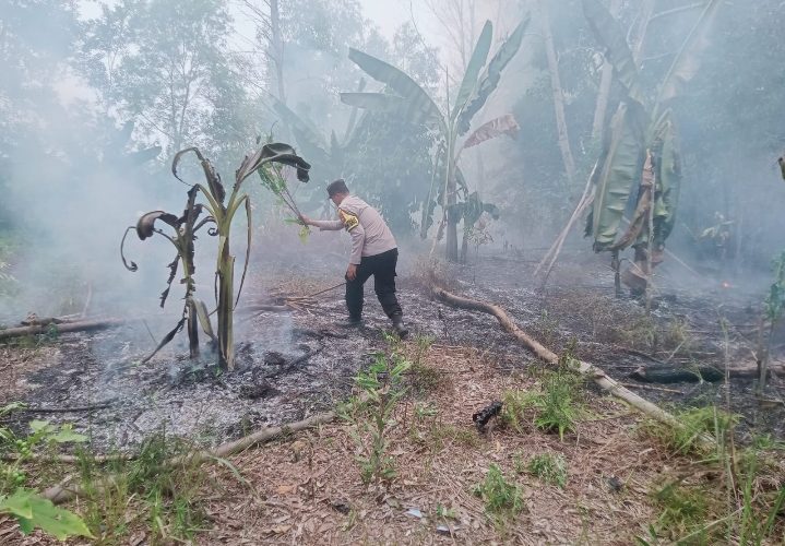Polsek Tanjungpinang Timur dan Damkar Padamkan Kebakaran Lahan Kosong di Melayu Kota Piring