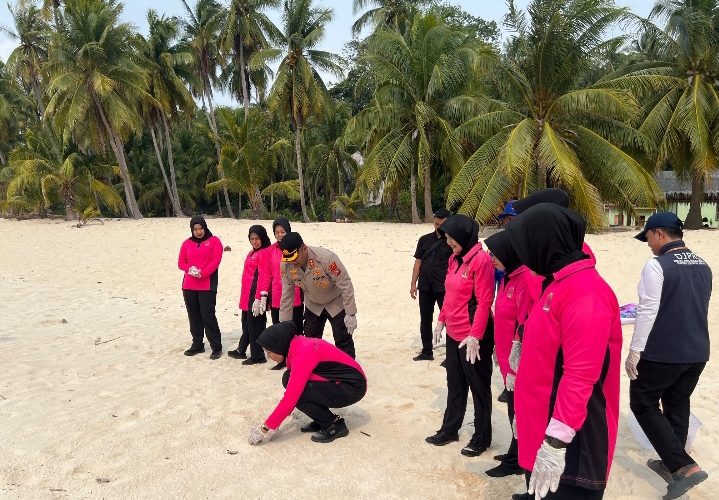 220 Tukik Dilepas ke Laut, Polres dan Bhayangkari Anambas Ajak Warga Jaga Penyu
