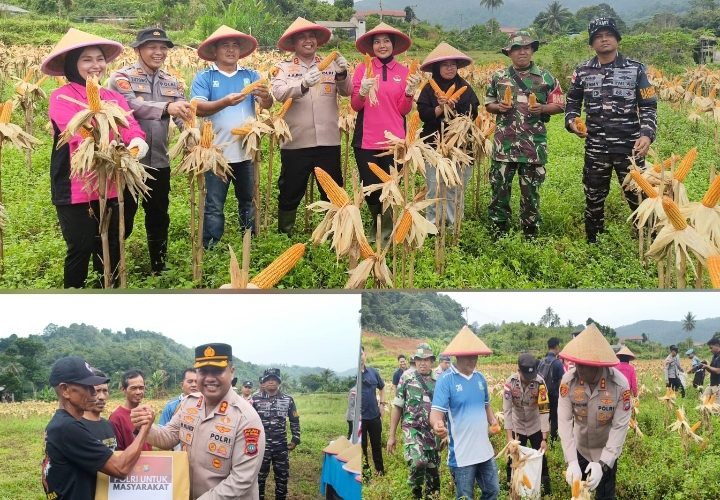 Kapolres Anambas Apresiasi Sinergi Polri dan Kelompok Tani, Panen Jagung Capai 1 Ton
