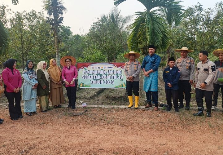 Polsek Tanjungpinang Kota Tanam Jagung di Lahan 7.000 Meter Persegi, Dukung Swasembada Pangan