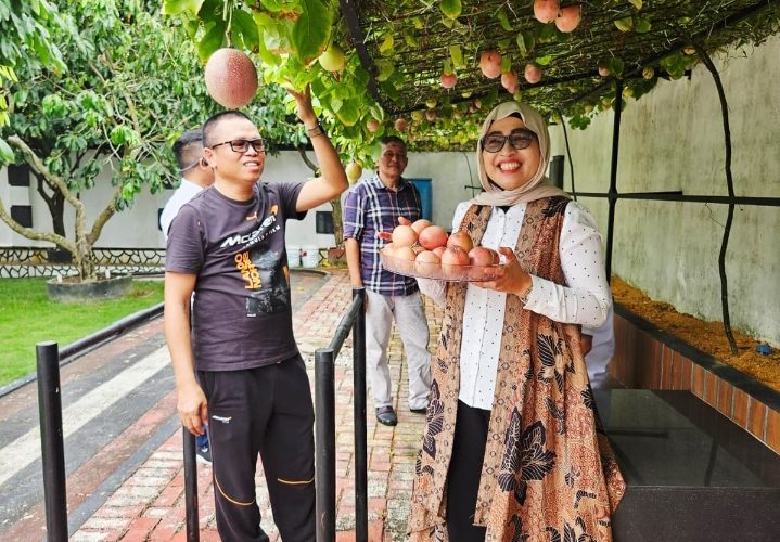 Ceria Panen Markisa di Pekarangan Rumah, Sekda Misni Kagumi Ketekunan Ady Indra Pawennari